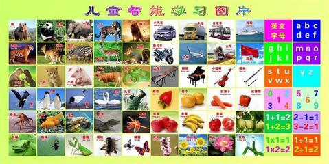 【87素材啟蒙教育海報(bào)展板72兒童智能學(xué)習(xí)】價(jià)格,廠家,圖片,展示架,新豐縣新奇麗廣告設(shè)計(jì)制作室-