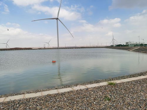 智慧漁業(yè) 水質(zhì)監(jiān)測(cè)守護(hù)藍(lán)色生態(tài)，協(xié)同飼料銷售驅(qū)動(dòng)產(chǎn)業(yè)升級(jí)